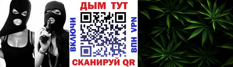 Бошки марихуана конопля  Белёв 
